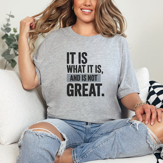 It Is What It Is, And It Is Not Great - Humor - T-Shirt